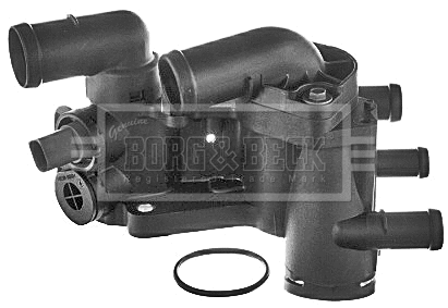 Thermostat, coolant (BBT388)