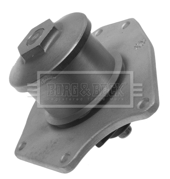 Water Pump, engine cooling (BWP2228)