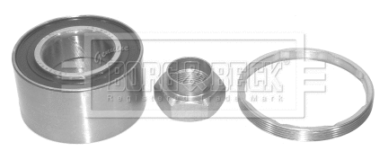 Wheel Bearing Kit (BWK399)