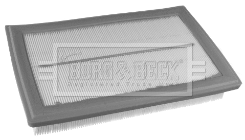 Air Filter (BFA2423)