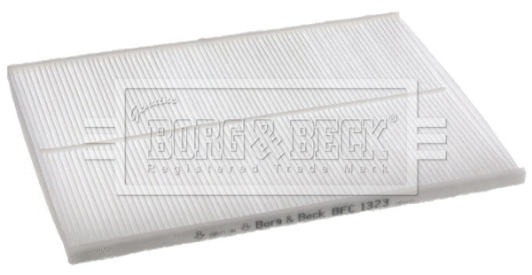 Filter, cabin air (BFC1323)