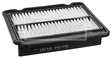 Air Filter (BFA2183)