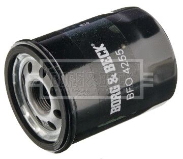 Oil Filter (BFO4255)