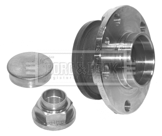 Wheel Bearing Kit (BWK717)