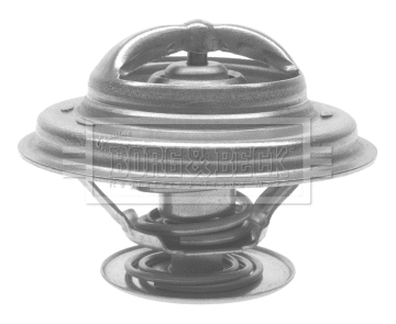 Thermostat, coolant (BTS159.87)