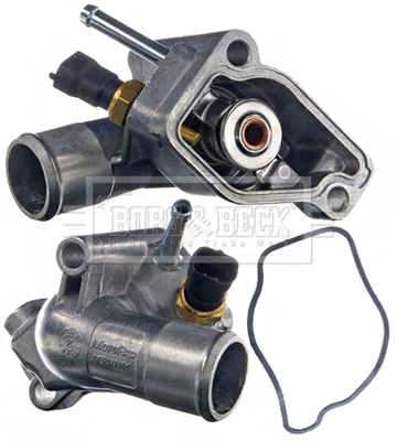 Thermostat, coolant (BBT078)