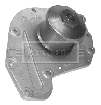 Water Pump, engine cooling (BWP2198)