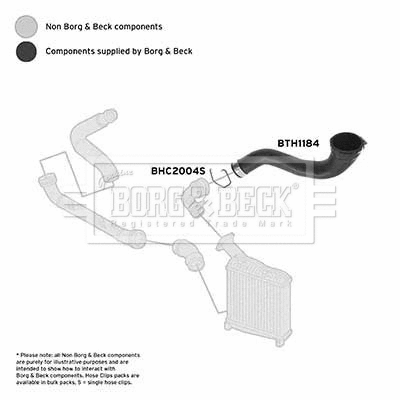 Charge Air Hose (BTH1184)