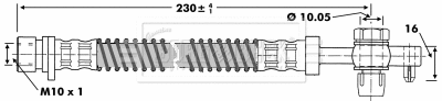 Brake Hose (BBH6668)