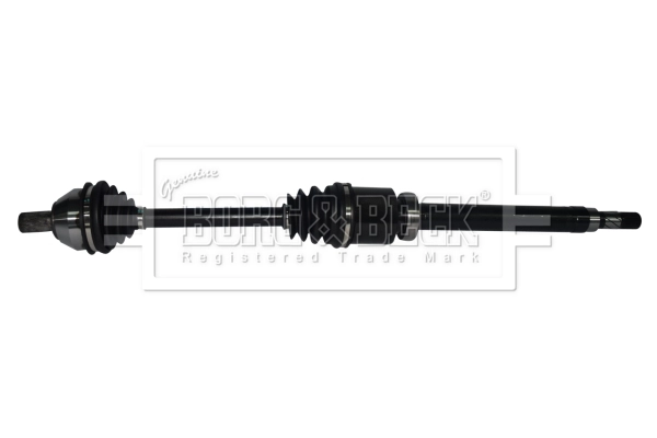 Drive Shaft (BDS1306)