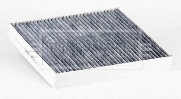 Filter, cabin air (BFC1335)