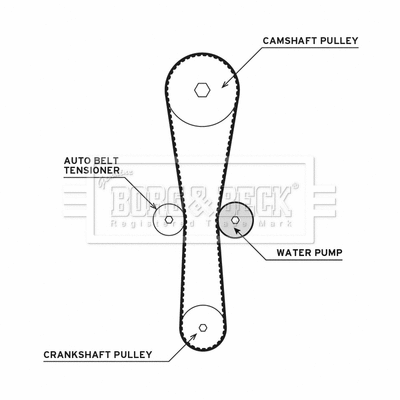 Water Pump & Timing Belt Kit (BTW1020)