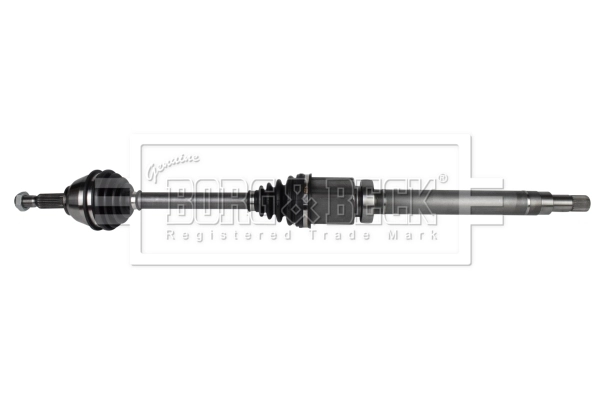Drive Shaft (BDS1019)