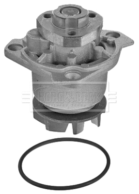 Water Pump, engine cooling (BWP2113)