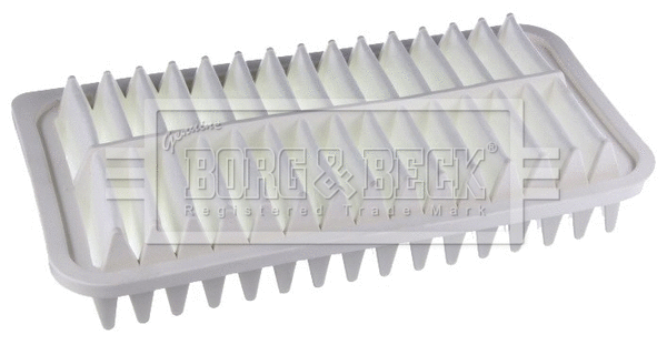 Air Filter (BFA2087)