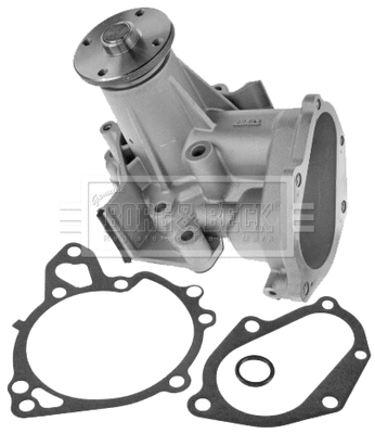 Water Pump, engine cooling (BWP2307)