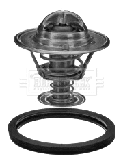 Thermostat, coolant (BBT198)