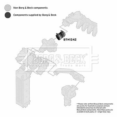 Charge Air Hose (BTH1242)