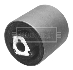 Mounting, control/trailing arm (BSK6439)