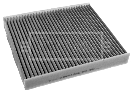 Filter, cabin air (BFC1144)