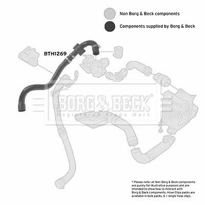 Charge Air Hose (BTH1269)