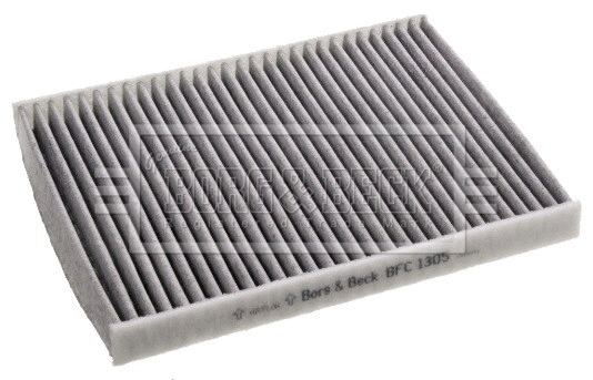 Filter, cabin air (BFC1305)