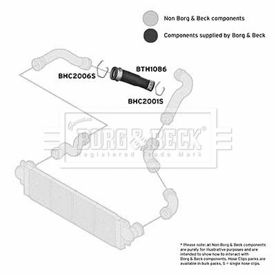 Charge Air Hose (BTH1086)