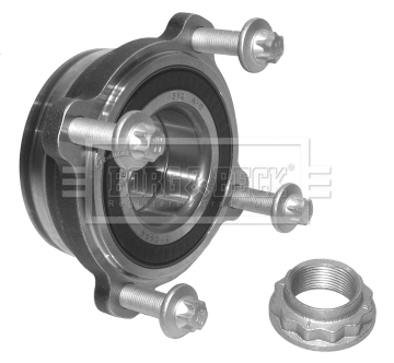 Wheel Bearing Kit (BWK732)