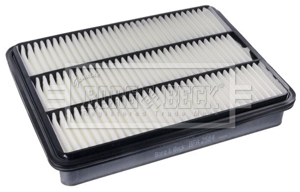 Air Filter (BFA2584)