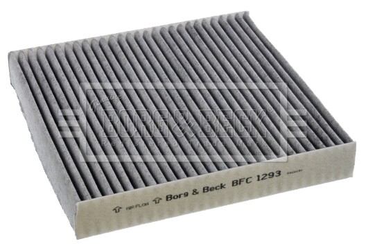 Filter, cabin air (BFC1293)