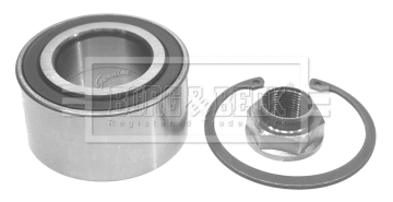 Wheel Bearing Kit (BWK128)