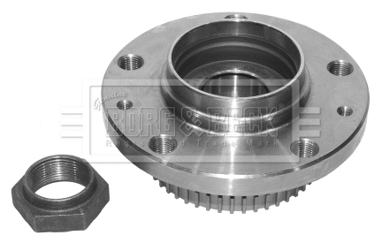 Wheel Bearing Kit (BWK790)