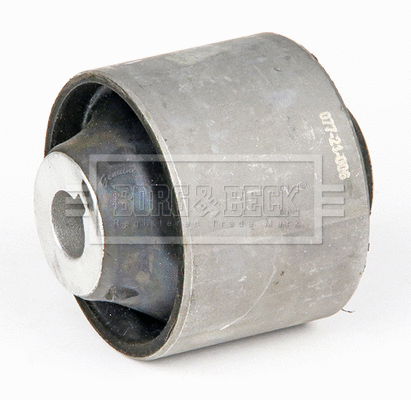 Mounting, control/trailing arm (BSK8160)