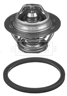 Thermostat, coolant (BBT413)