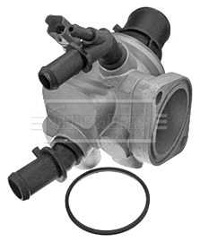 Thermostat, coolant (BBT222)