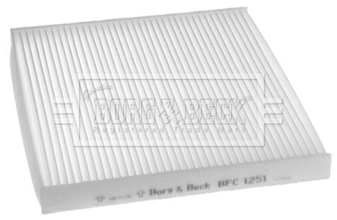 Filter, cabin air (BFC1251)