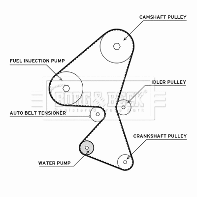 Water Pump & Timing Belt Kit (BTW1032)
