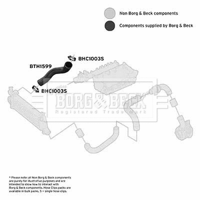 Charge Air Hose (BTH1599)