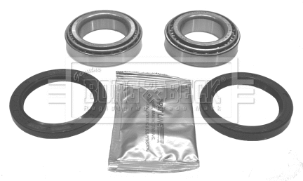 Wheel Bearing Kit (BWK137)