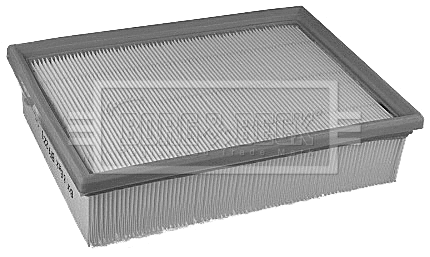 Air Filter (BFA2231)