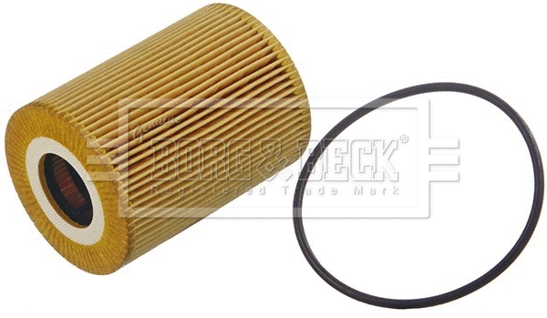 Oil Filter (BFO4269HD)