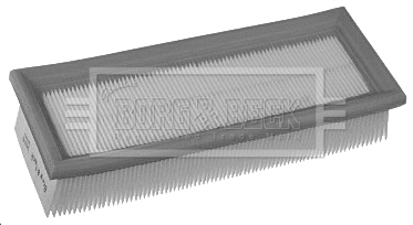 Air Filter (BFA2249)