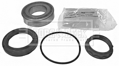 Wheel Bearing Kit (BWK295)
