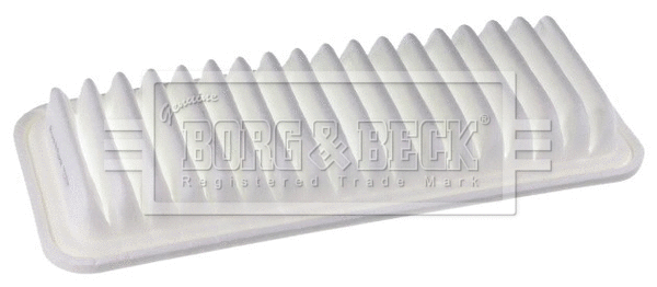 Air Filter (BFA2598)