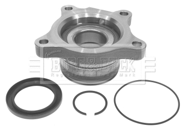Wheel Bearing Kit (BWK1087)