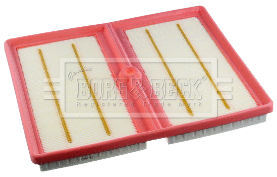 Air Filter (BFA2552)