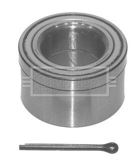 Wheel Bearing Kit (BWK497)