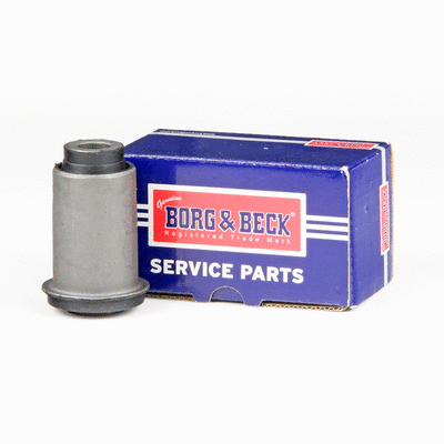 Mounting, control/trailing arm (BSK8169)