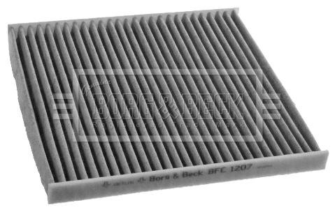 Filter, cabin air (BFC1207)