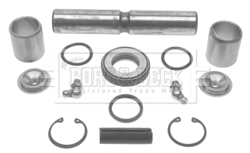 Repair Kit, kingpin (BKP5828W)